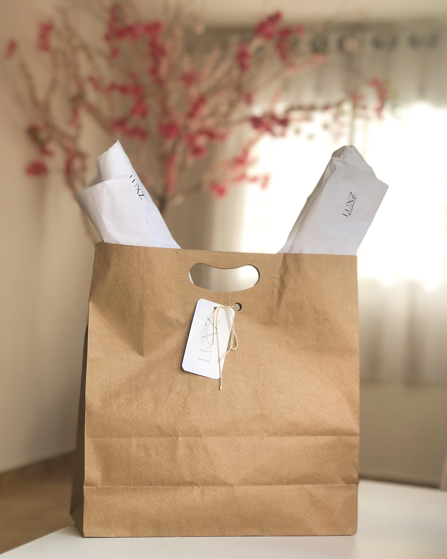 Embalagem Completa LUXZ